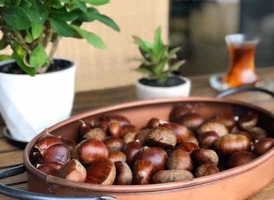 Kestane - Çay Keyfi